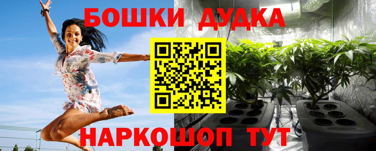 Канабис семена  Вход с VPN  Серпухов  МАРИХУАНА OG Kush 